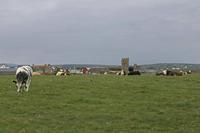 Cjp_2017-04-23_135612.jpg