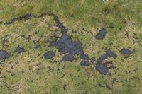 Cjp_2017-04-23_140926.jpg