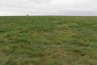 Cjp_2017-04-23_141038.jpg