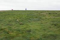 Cjp_2017-04-23_141152.jpg