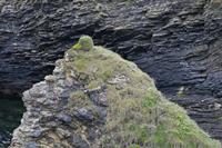 Cjp_2017-04-23_142030_2.jpg
