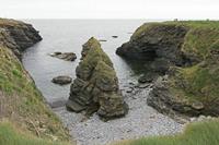 Cjp_2017-04-23_142118.jpg