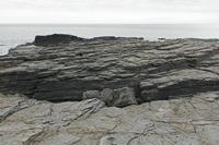 Cjp_2017-04-23_143304.jpg