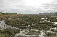 Cjp_2017-04-24_070702.jpg