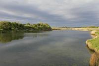 Cjp_2017-04-24_070756.jpg