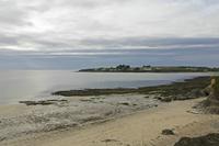 Cjp_2017-04-24_073302.jpg