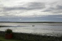 Cjp_2017-04-24_081020.jpg