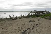 Cjp_2017-04-24_081142.jpg