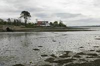 Cjp_2017-04-24_081408.jpg