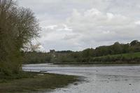 Cjp_2017-04-24_081544.jpg