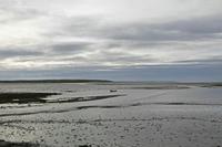 Cjp_2017-04-24_081636.jpg