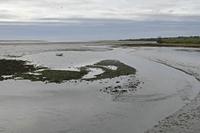 Cjp_2017-04-24_081720.jpg