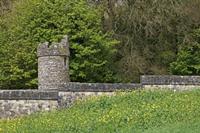 Cjp_2017-04-24_085842.jpg