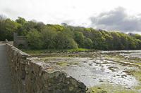 Cjp_2017-04-24_090536.jpg
