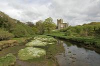 Cjp_2017-04-24_090618.jpg