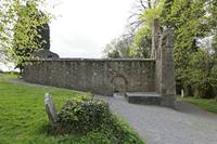 Cjp_2017-04-24_090930.jpg