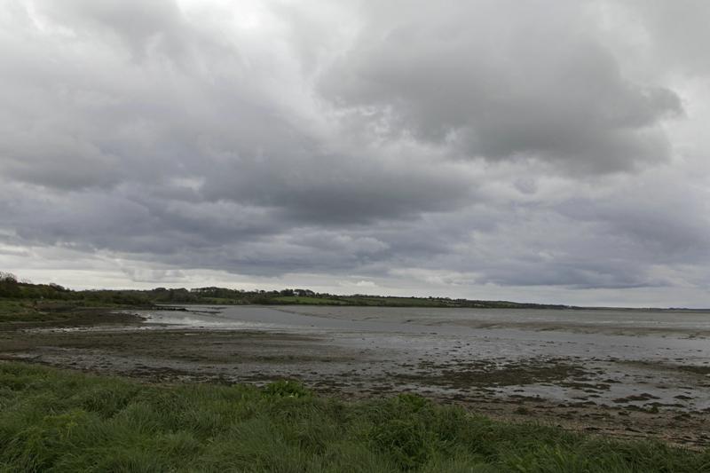 Cjp_2017-04-24_095124.jpg