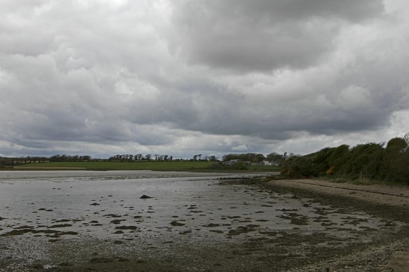 Cjp_2017-04-24_095218.jpg