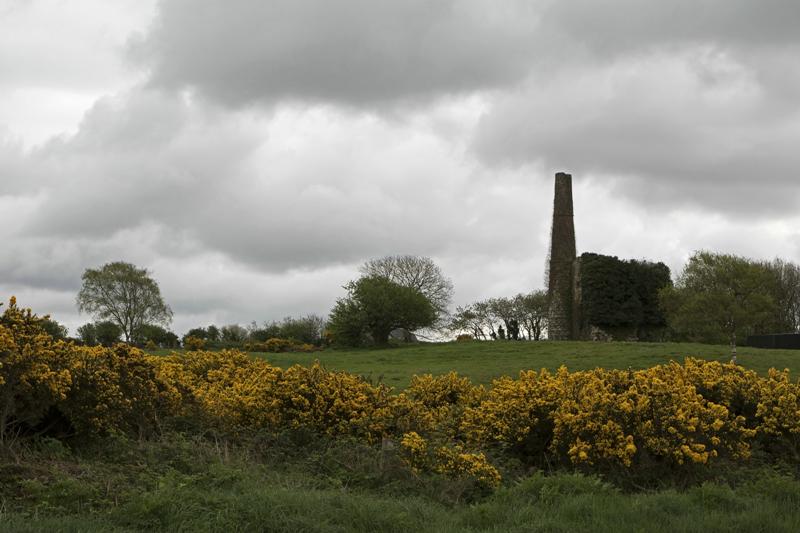 Cjp_2017-04-24_095312_2.jpg