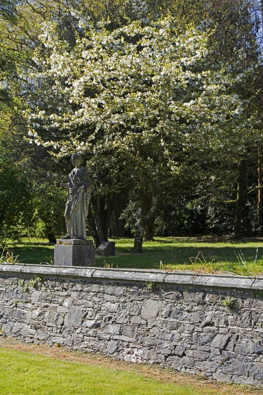 Cjp_2017-04-25_091436.jpg