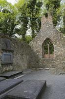 Cjp_2017-04-24_091034.jpg