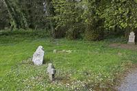 Cjp_2017-04-24_091140.jpg
