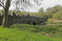 Cjp_2017-04-24_091450.jpg