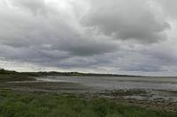 Cjp_2017-04-24_095124.jpg