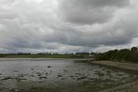 Cjp_2017-04-24_095218.jpg