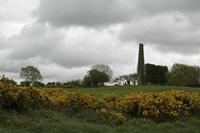 Cjp_2017-04-24_095312_2.jpg