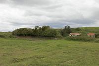 Cjp_2017-04-24_123452.jpg