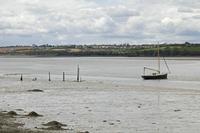 Cjp_2017-04-24_131736.jpg