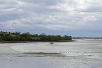 Cjp_2017-04-24_132502.jpg