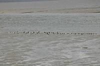 Cjp_2017-04-24_133030.jpg