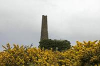 Cjp_2017-04-24_133610.jpg