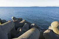Cjp_2017-04-25_063718.jpg