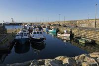 Cjp_2017-04-25_064446.jpg