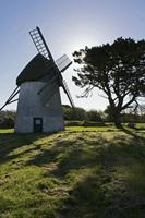 Cjp_2017-04-25_073716.jpg