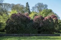 Cjp_2017-04-25_084858.jpg