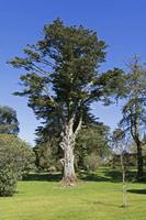 Cjp_2017-04-25_090246.jpg