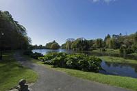 Cjp_2017-04-25_090746.jpg