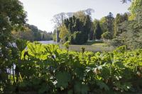 Cjp_2017-04-25_091058.jpg