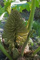 Cjp_2017-04-25_091154.jpg
