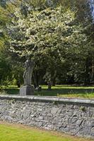 Cjp_2017-04-25_091436.jpg