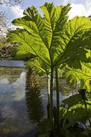 Cjp_2017-04-25_092500.jpg