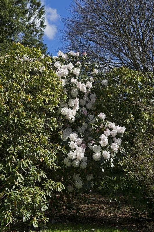 Cjp_2017-04-25_100034.jpg