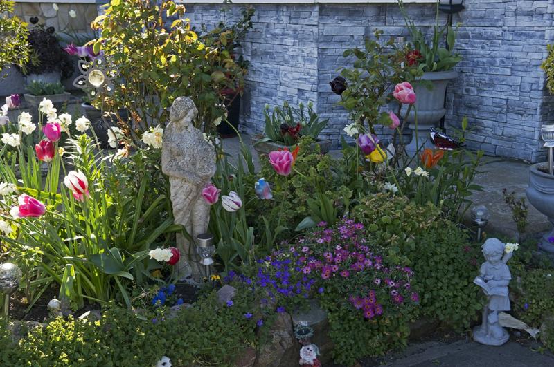 Cjp_2017-04-25_153558.jpg