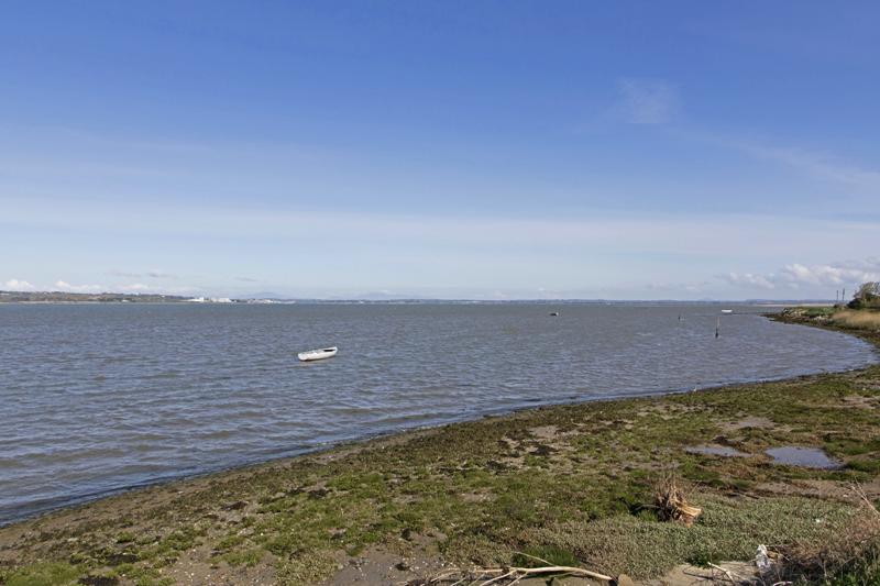 Cjp_2017-04-26_090910.jpg