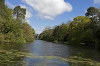 Cjp_2017-04-25_092606.jpg