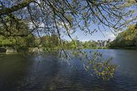 Cjp_2017-04-25_093328.jpg